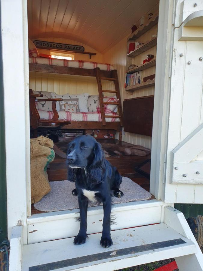 The Delkin Shepherds Huts Castle Combe Ngoại thất bức ảnh